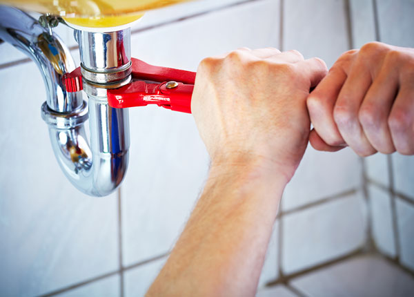 About Bear Plumbers